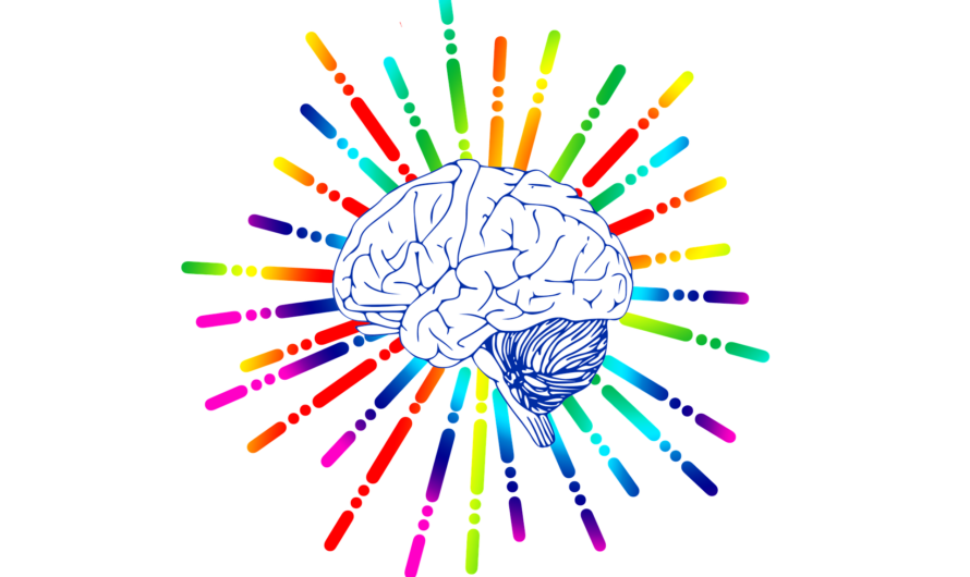 Neurones miroirs : Découvrez comment et pourquoi il est important d&rsquo;aider nos enfants à développer leurs capacités.
